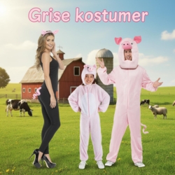 Grise kostumer
