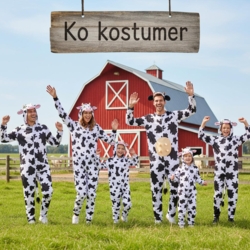 Ko kostumer