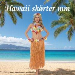 Hawaii kostumer