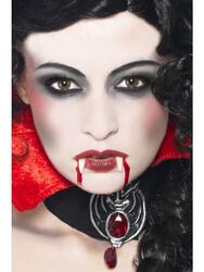 Vampyr make up kit