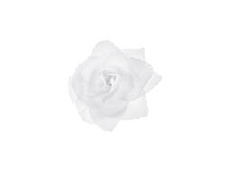 Selvklæbende Hvide Roser 24 stk