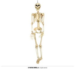 Skelet 90 cm i kraftig plast
