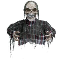 Skelet Zombie overkrop