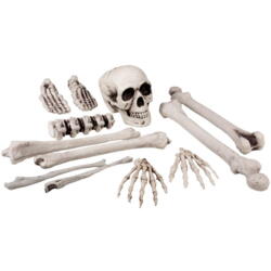 Skelet sæt m. knogler