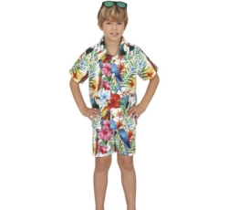 Hawaii kostume til drenge