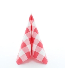 Rød- og hvid ternet frokostserviet