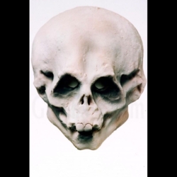 Greyland - Lebka - latex maske