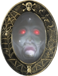 Hjemsøgt spejl m. lys og lyd - 25x32cm