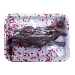 Blodig rotte i bakke