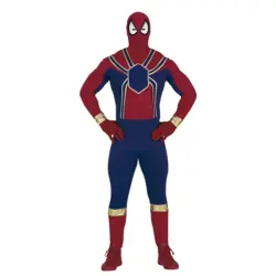 Spider Hero