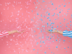Gender reveal konfettirør med sommerfugle