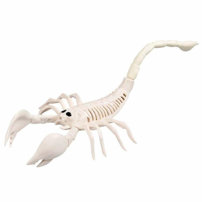 Skelet - Skorpion