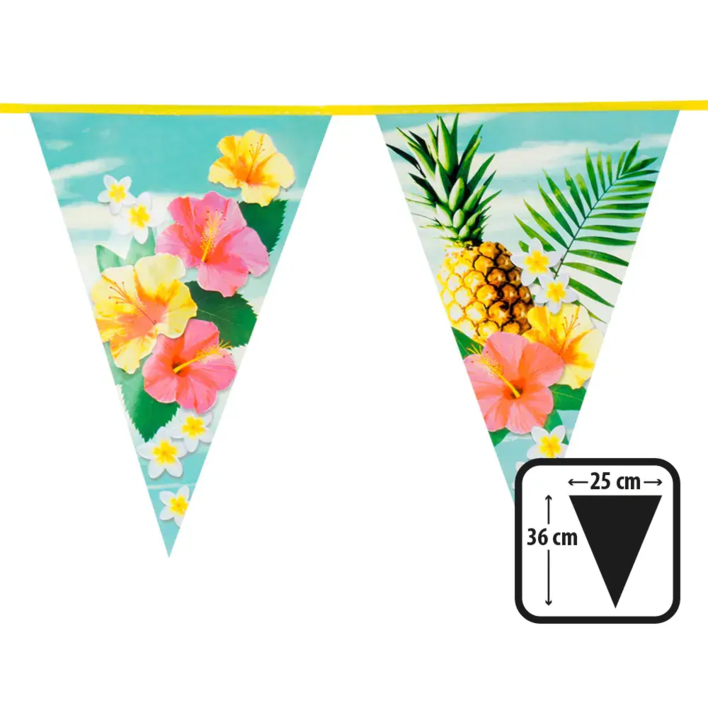 Hawaii banner hibiscus 6 m