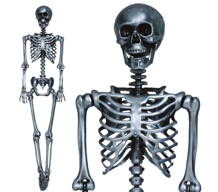 Sølv Skelet - 160 cm