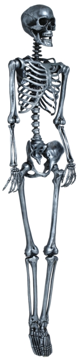 Sølv Skelet - 160 cm