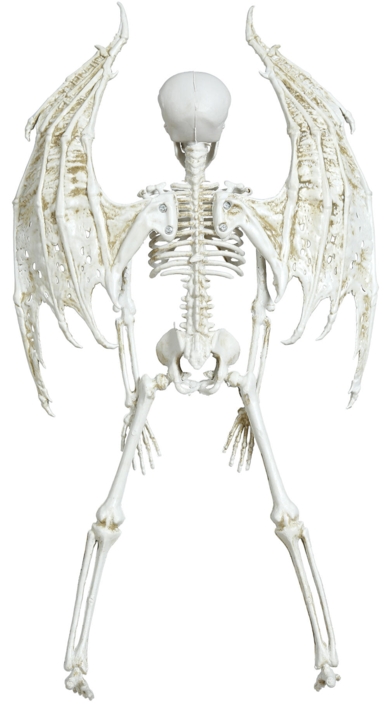 Djævle skelet - 40cm