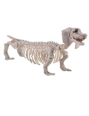 Skelet - Gravhund - 56 x 13 x 22 cm