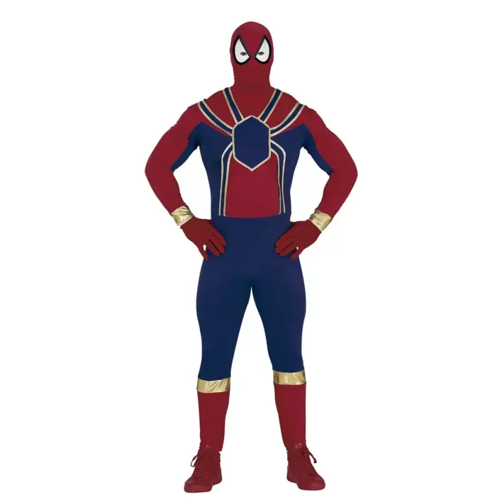 Spider Hero