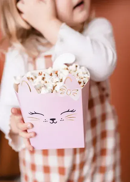 Katte Snackboxe