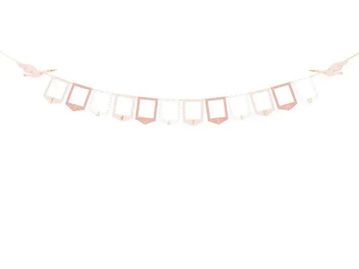 Fotoramme banner Lyserød