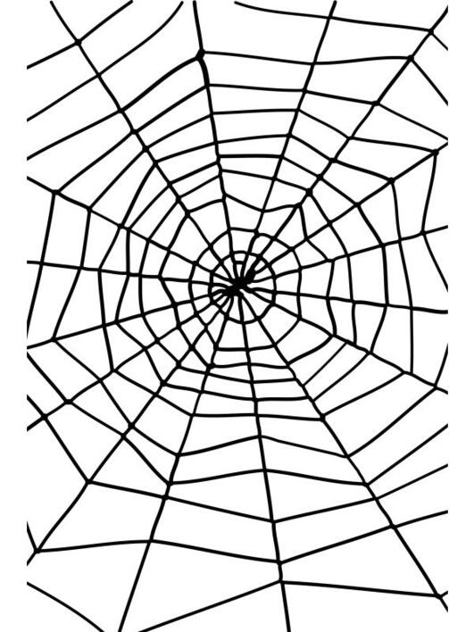 Spindelvæv stort med edderkop