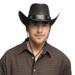 Cowboy Hat Wyatt sort