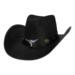 Cowboy Hat Wyatt sort