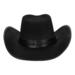 Cowboy Hat Wyatt sort