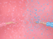 Gender reveal konfettirør med sommerfugle