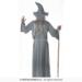 Troldmand Kostume