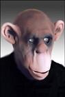 Chimpanse maske