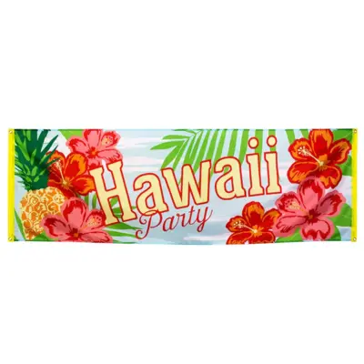 Hawaii banner 74x220