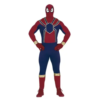 Spider Hero